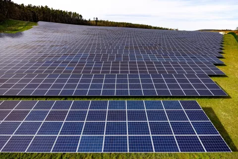 Eine große PV-Anlage auf einem Feld. Im Hintergrund ist Wald zu sehen.